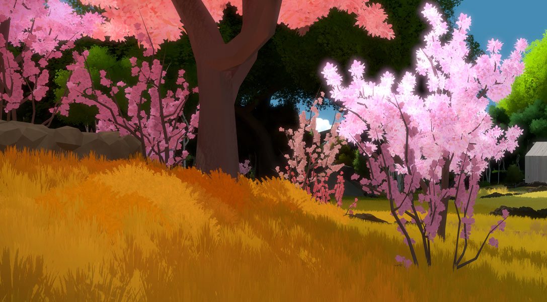 Lernt die talentierten Sprecher für Jonathan Blows PS4-Adventure The Witness kennen