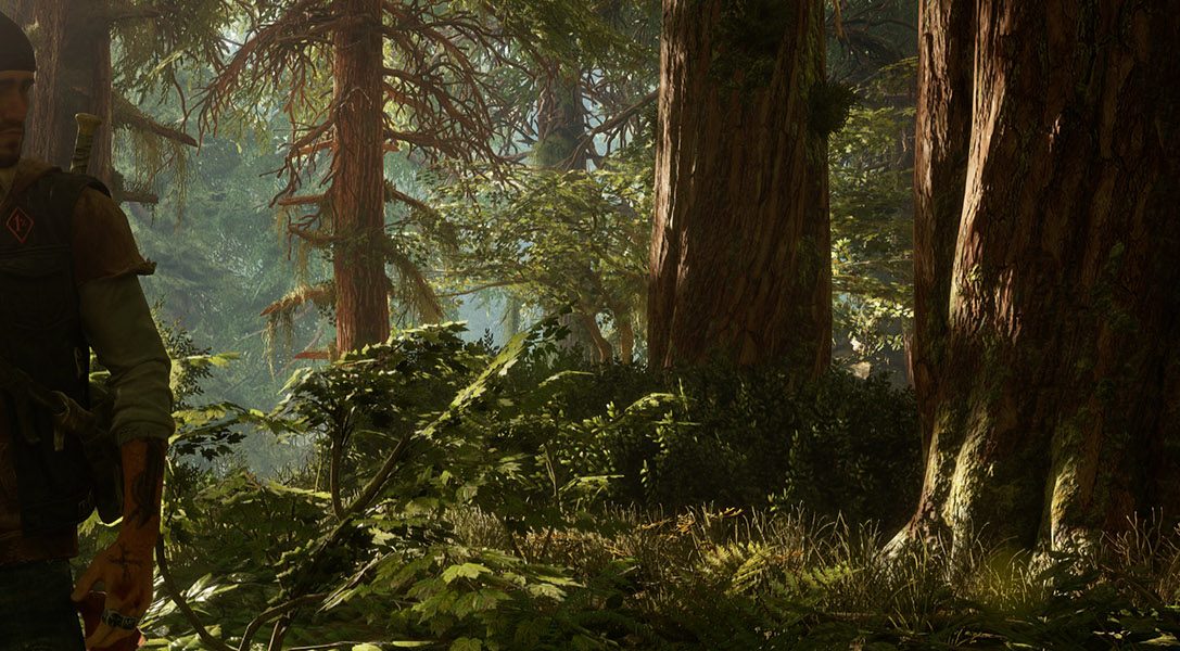 Seht euch den neuen Story-Trailer von Days Gone an