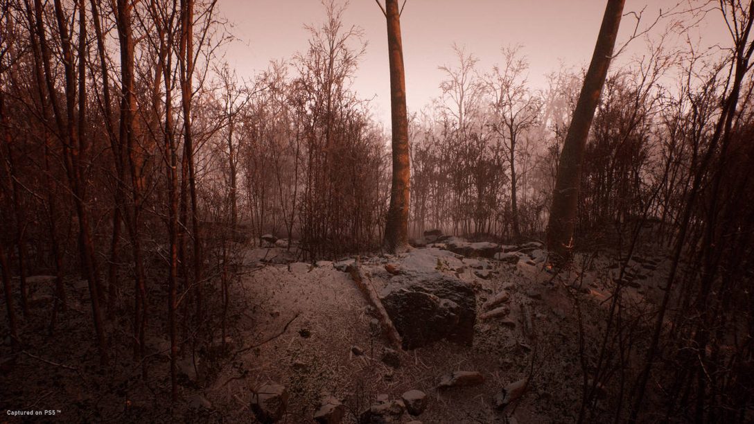 Abandoned: Ein Survival-Sim für PS5