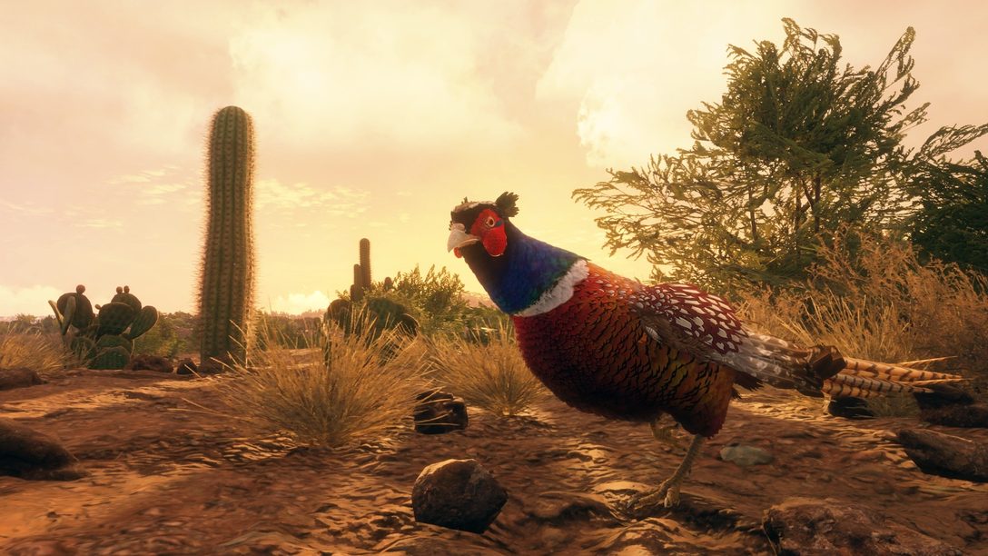 theHunter: Call of the Wild – 7 unverzichtbare Tipps, um ein meisterhafter Jäger zu werden!