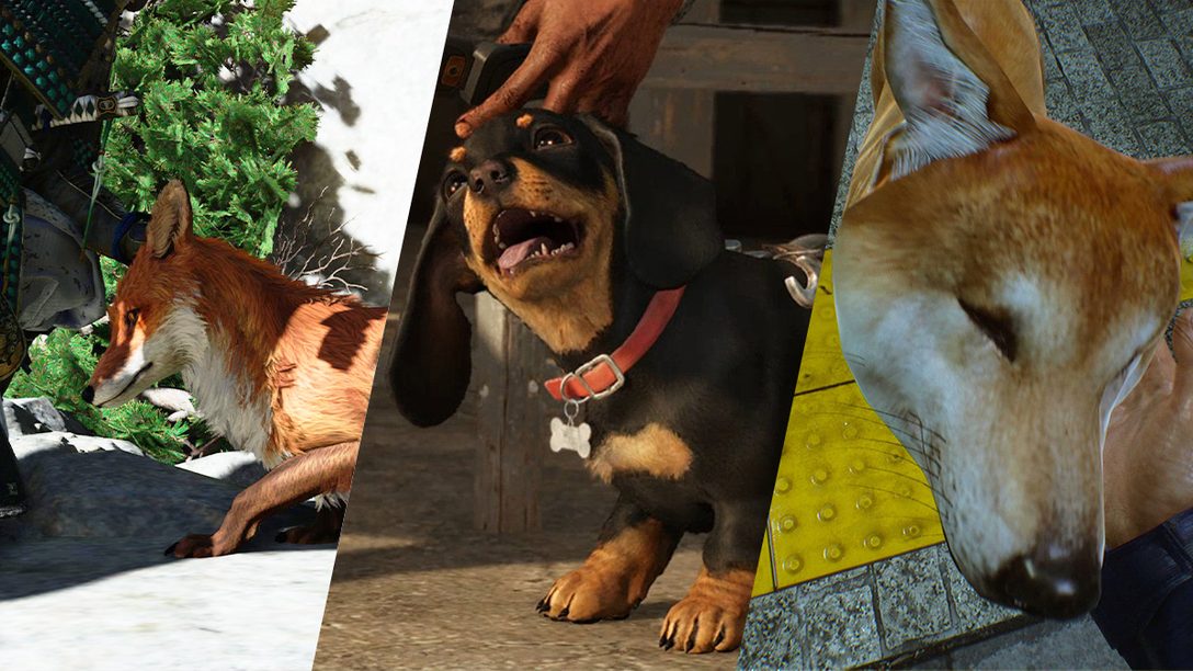 Hunde, Füchse und Katzen: In diesen 8 PlayStation-Spielen könnt ihr Tiere streicheln