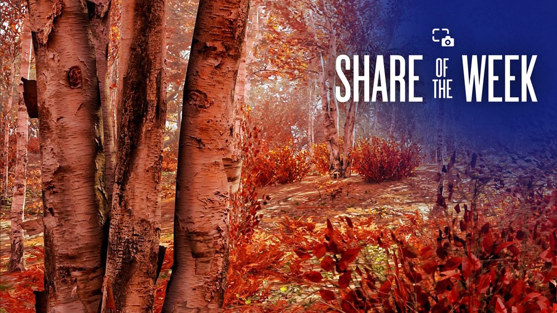 Share of the Week: Herbst