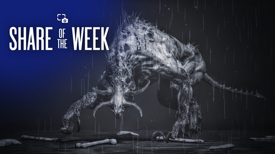 Share of the Week: Endgegner